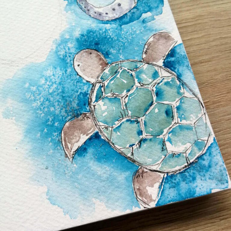 żółw malowany akwarelą