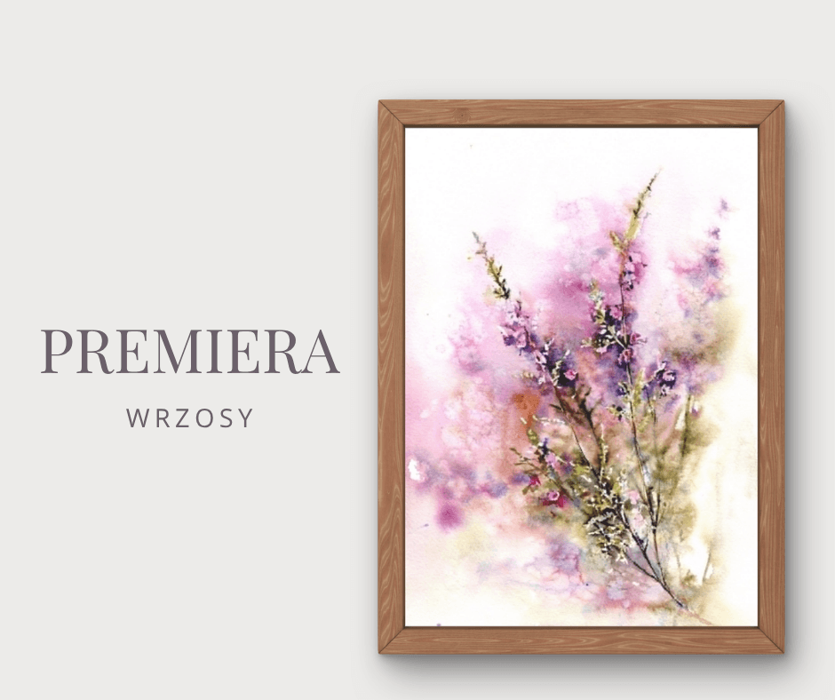 preimiera wrzosy